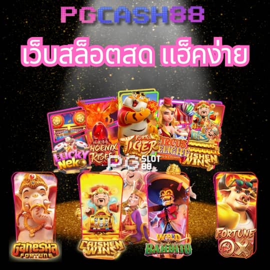 pg333 wallet